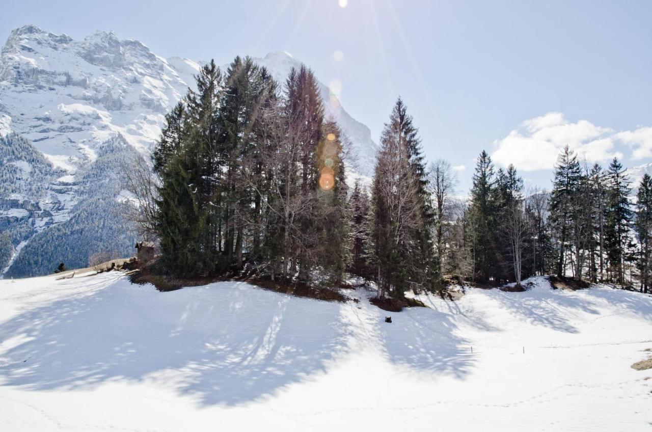 Apartment Grindelwaldgletscher - Griwa Rent Ag Exterior photo